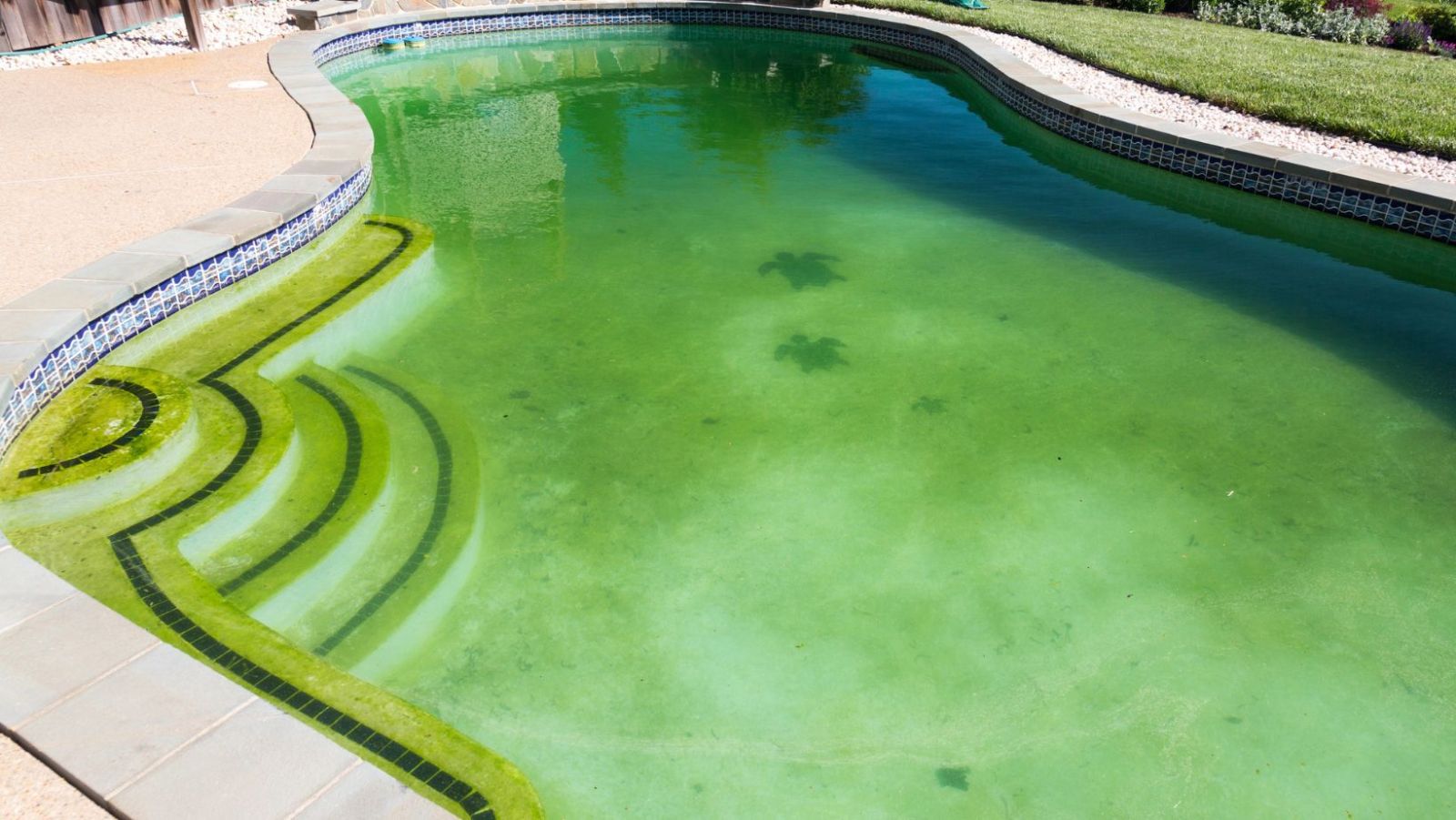 Eau de piscine verte : 7 remèdes de grand-mère efficaces et naturels